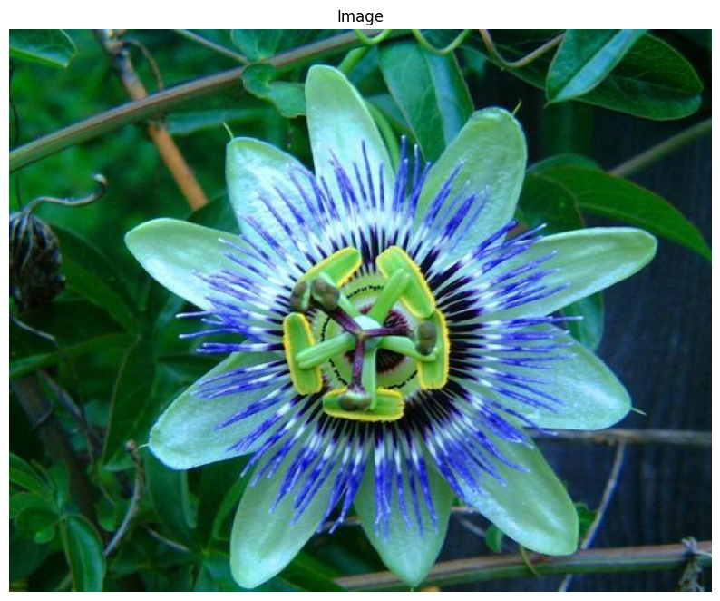../../_images/414648d8a35efe8553a1f7b4a494cea79bd3b42c9e0460fc0cc973fd8ac01465.png