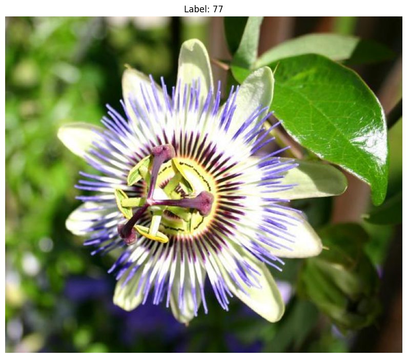 ../../_images/cae7c872769595b83a0a084d7a4a3ea019219254f1f59d0216f2f9677a07cb85.png