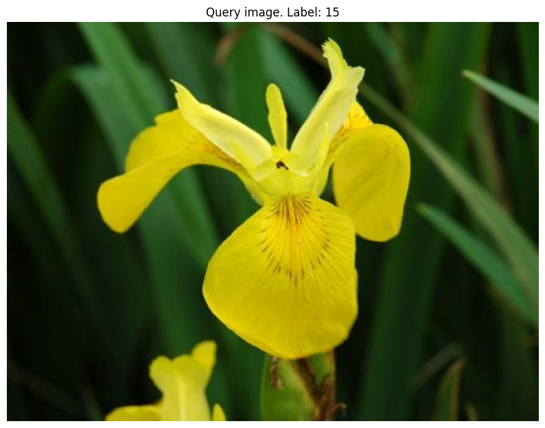 ../../_images/d30503cf6020a85a29426b060879b986e3307fd06cac9898b8ea0383044267e4.png